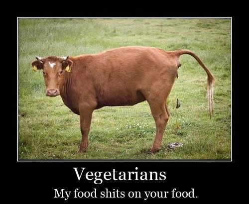 500x410xvegetarians_my_food_shits_on_your_food.jpg.pagespeed.ic.9IZPvkVobe.jpg