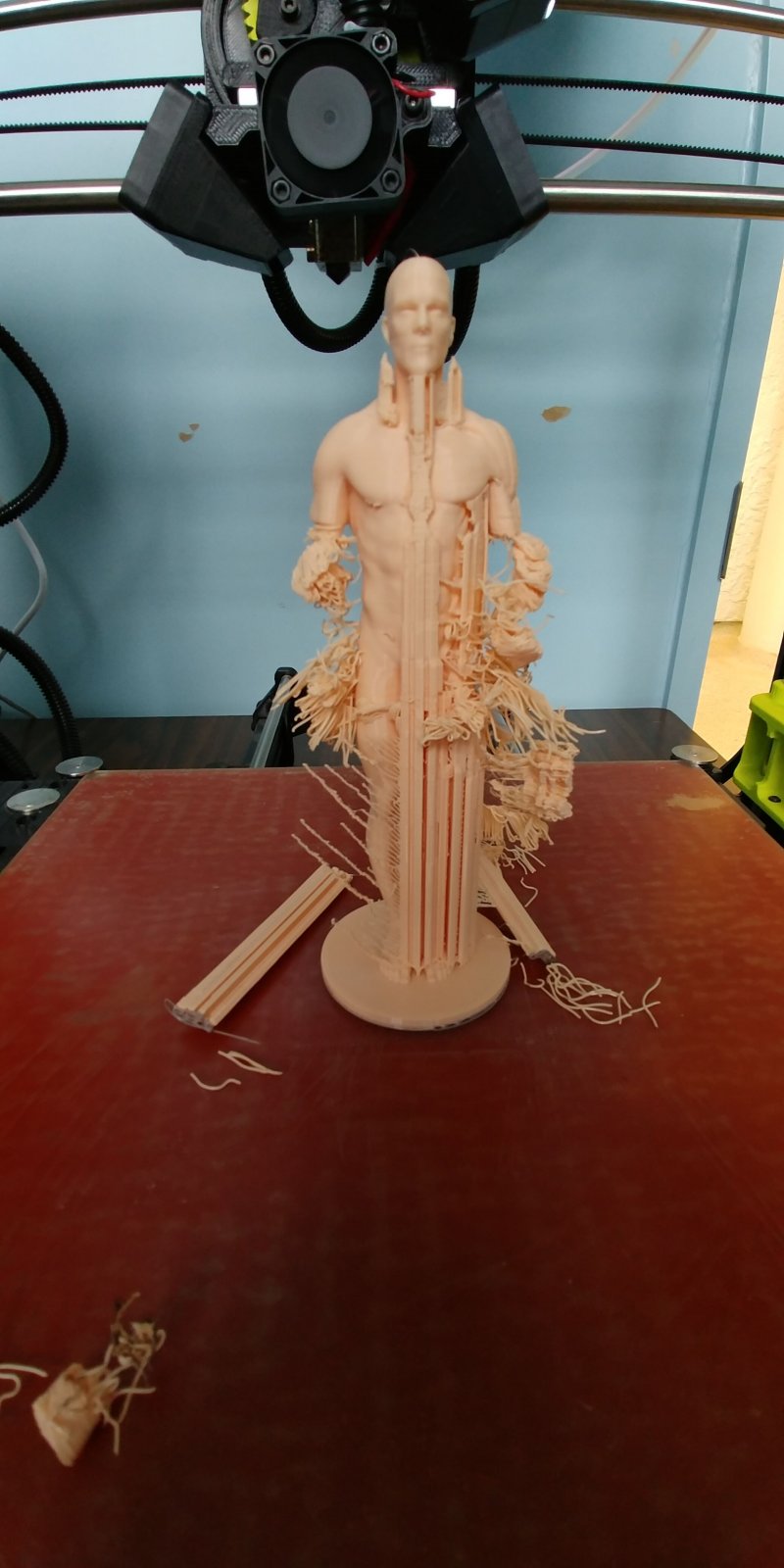 anatomy01.jpeg