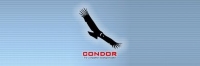 Condor.jpg