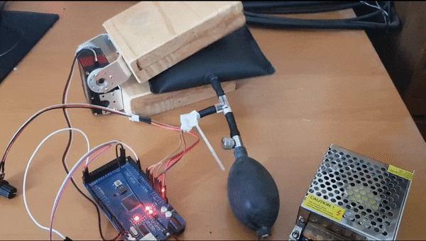 cushion 24.gif