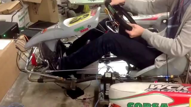 CXC Kart Racing Simulator .jpg
