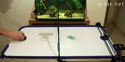 gifs_90y8n.gif