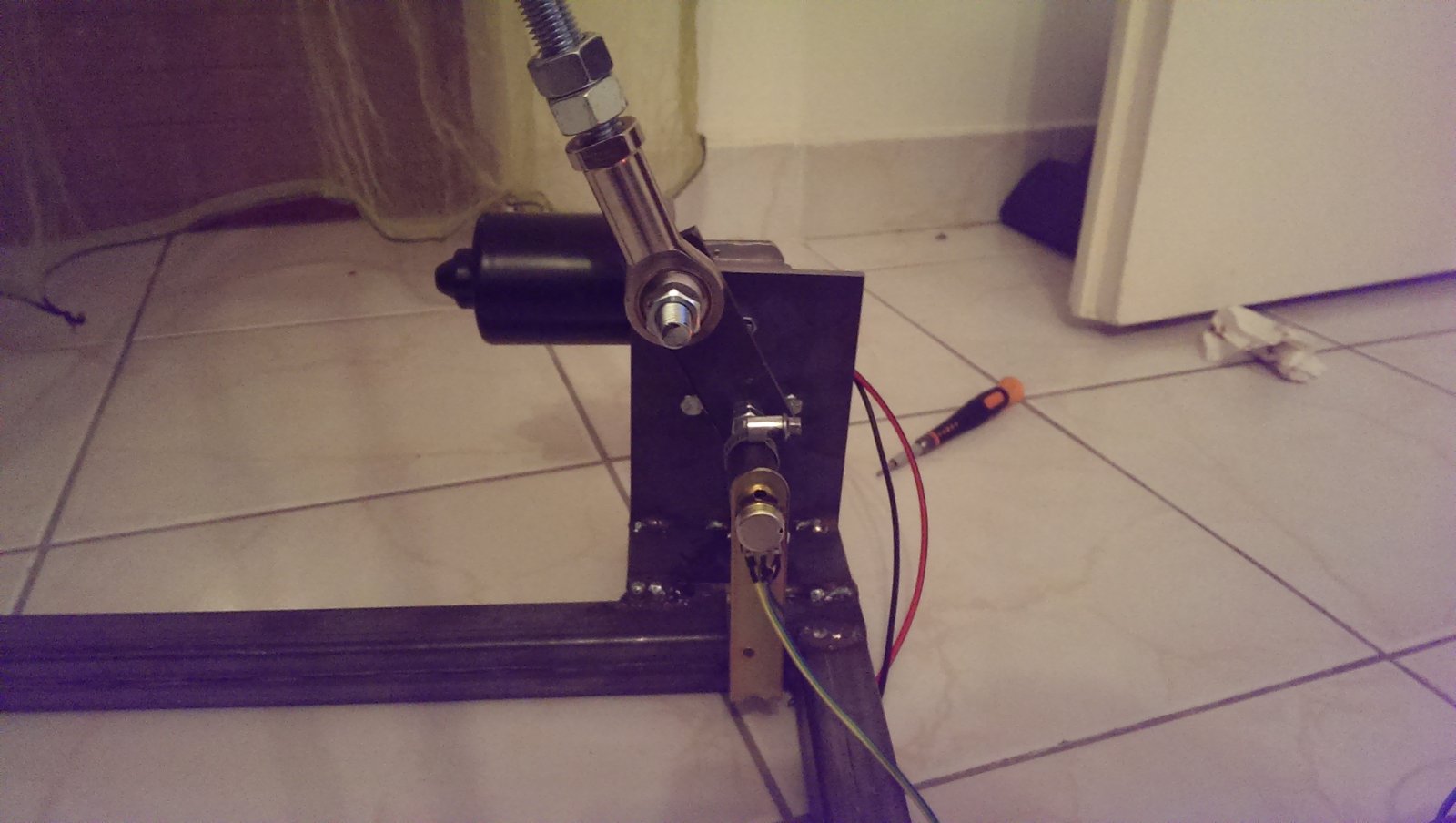 IMAG0249.jpg