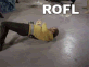 kirk-rofl_s.gif
