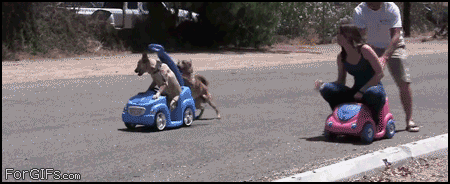 Moving-animated-picture-off-to-the-races.gif