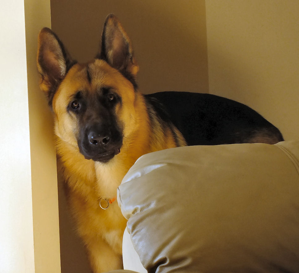 peekaboo.JPG