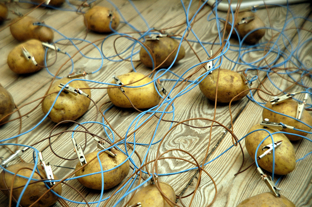 potato-battery.jpg