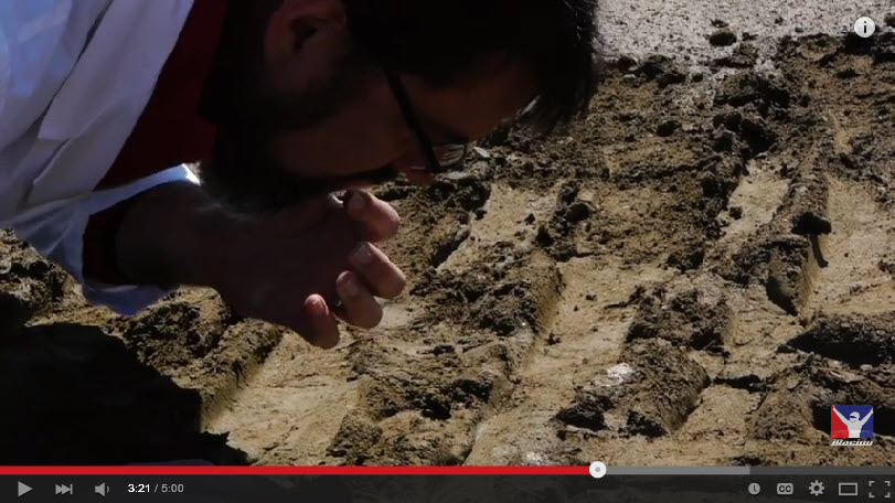 Tastedirt.jpg