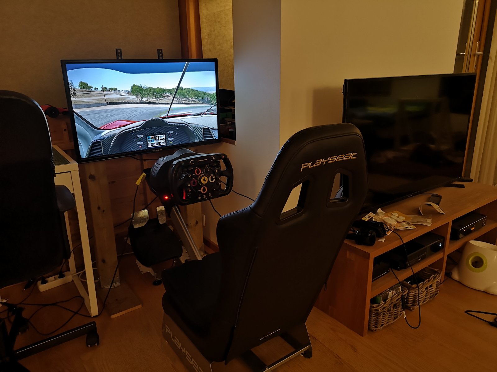 Thrustmaster.jpg