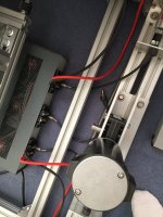 IMG_2233.jpeg
