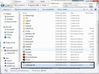 1rfactor file dll.jpg