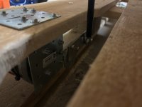 IMG_1981.jpeg