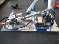 img3318y.jpg