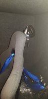 20170605_181531.jpg
