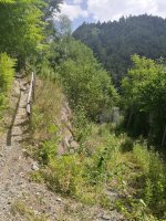 IMG_20180702_150925.jpg