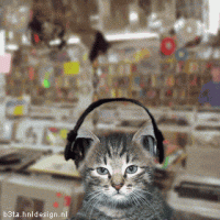 image001.gif