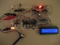 IMG_6117 (Custom).JPG