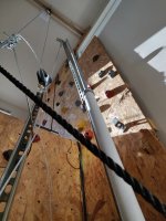IMG_20201105_112451.jpg