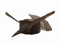 1676671069218.png