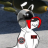 Callsign-Poser
