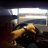 sim2go